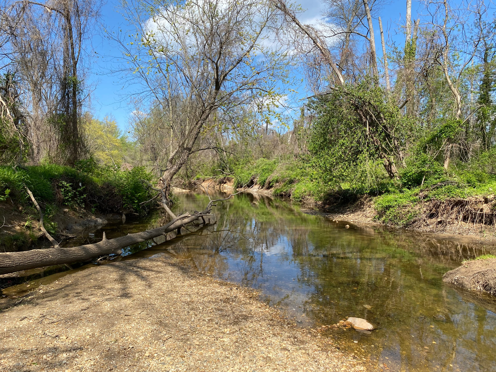 Creek in McLean, Virginia